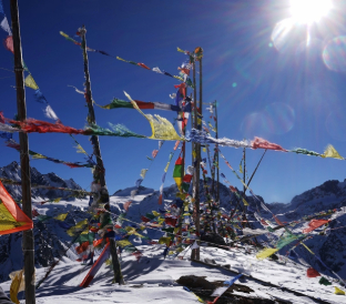 Adobe Express file 3